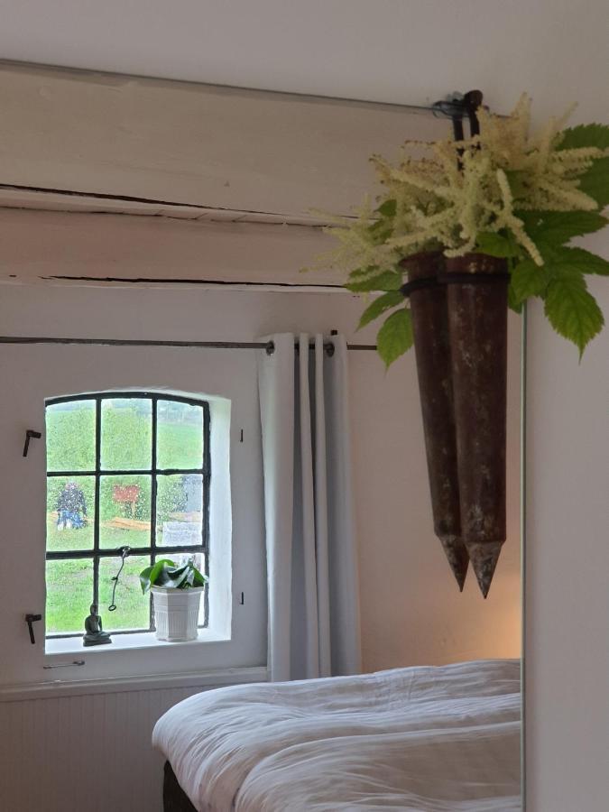 טומלילה 4B Oesterlen Bed & Breakfast מראה חיצוני תמונה